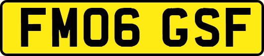 FM06GSF