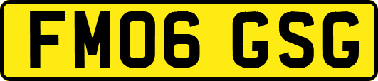 FM06GSG