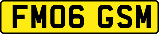 FM06GSM