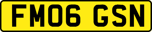 FM06GSN
