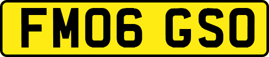 FM06GSO