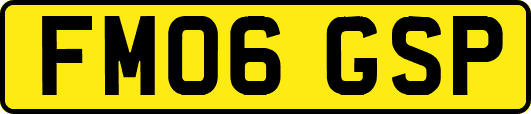 FM06GSP