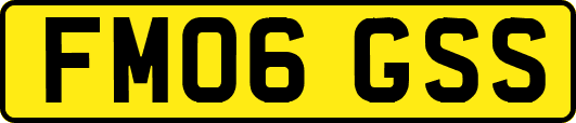 FM06GSS