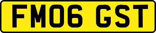 FM06GST