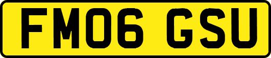FM06GSU