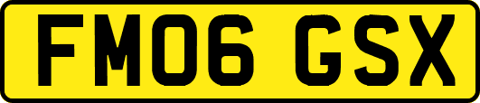 FM06GSX