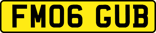 FM06GUB