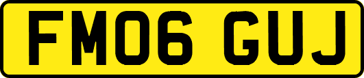 FM06GUJ