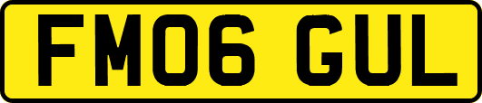 FM06GUL