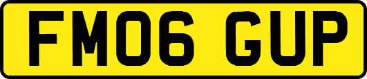 FM06GUP