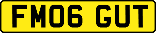 FM06GUT