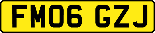 FM06GZJ