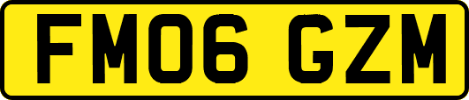 FM06GZM