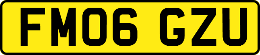 FM06GZU