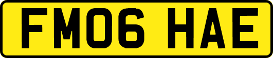 FM06HAE