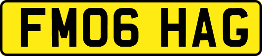 FM06HAG