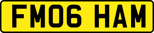 FM06HAM
