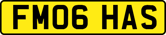 FM06HAS