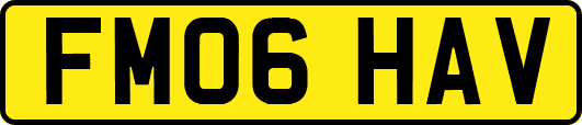 FM06HAV