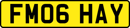 FM06HAY