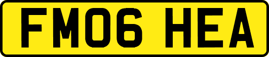 FM06HEA