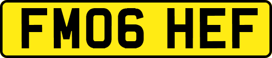 FM06HEF