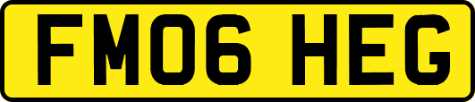 FM06HEG