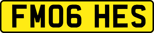 FM06HES