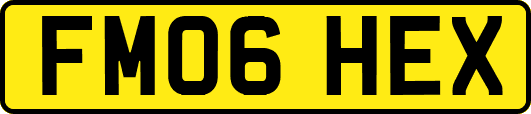 FM06HEX