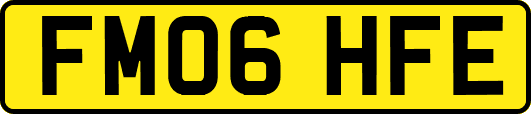FM06HFE