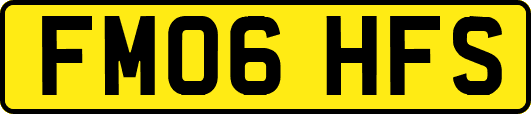 FM06HFS