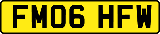 FM06HFW