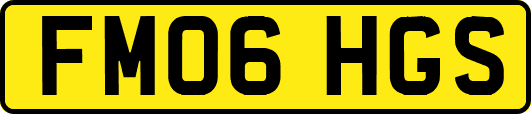 FM06HGS