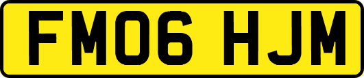 FM06HJM