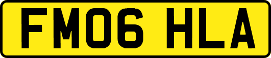FM06HLA