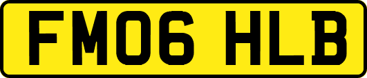 FM06HLB