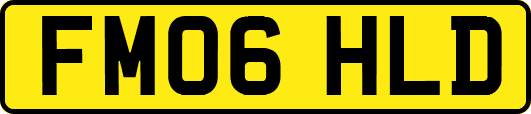 FM06HLD
