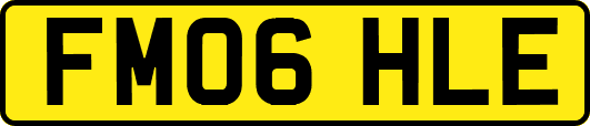 FM06HLE