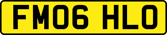 FM06HLO
