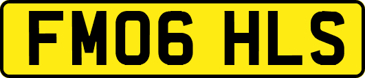 FM06HLS