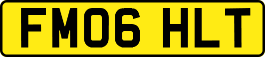 FM06HLT