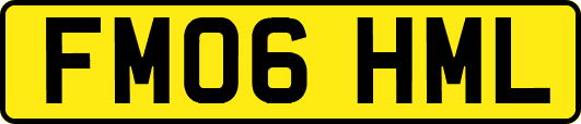 FM06HML