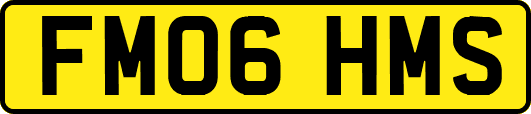 FM06HMS
