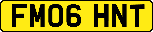 FM06HNT