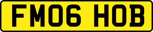 FM06HOB