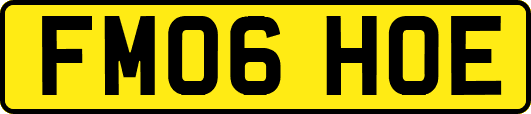 FM06HOE