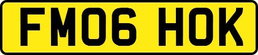 FM06HOK