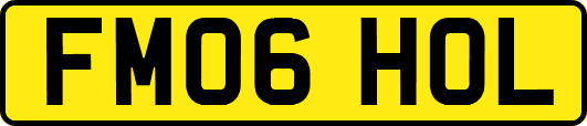 FM06HOL