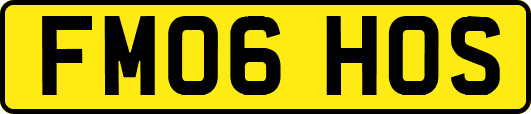 FM06HOS