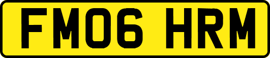 FM06HRM
